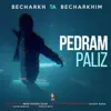 Pedram Paliz - Becharkh Ta Becharkhim - Single